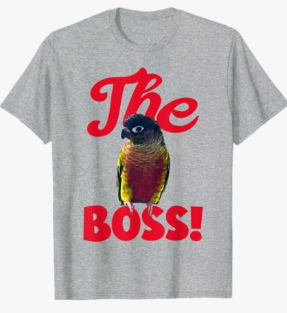 The Boss Green Cheek Conure Parrot Bird