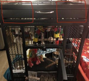 parrot bird cage