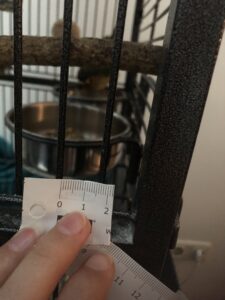 bird cage bar space