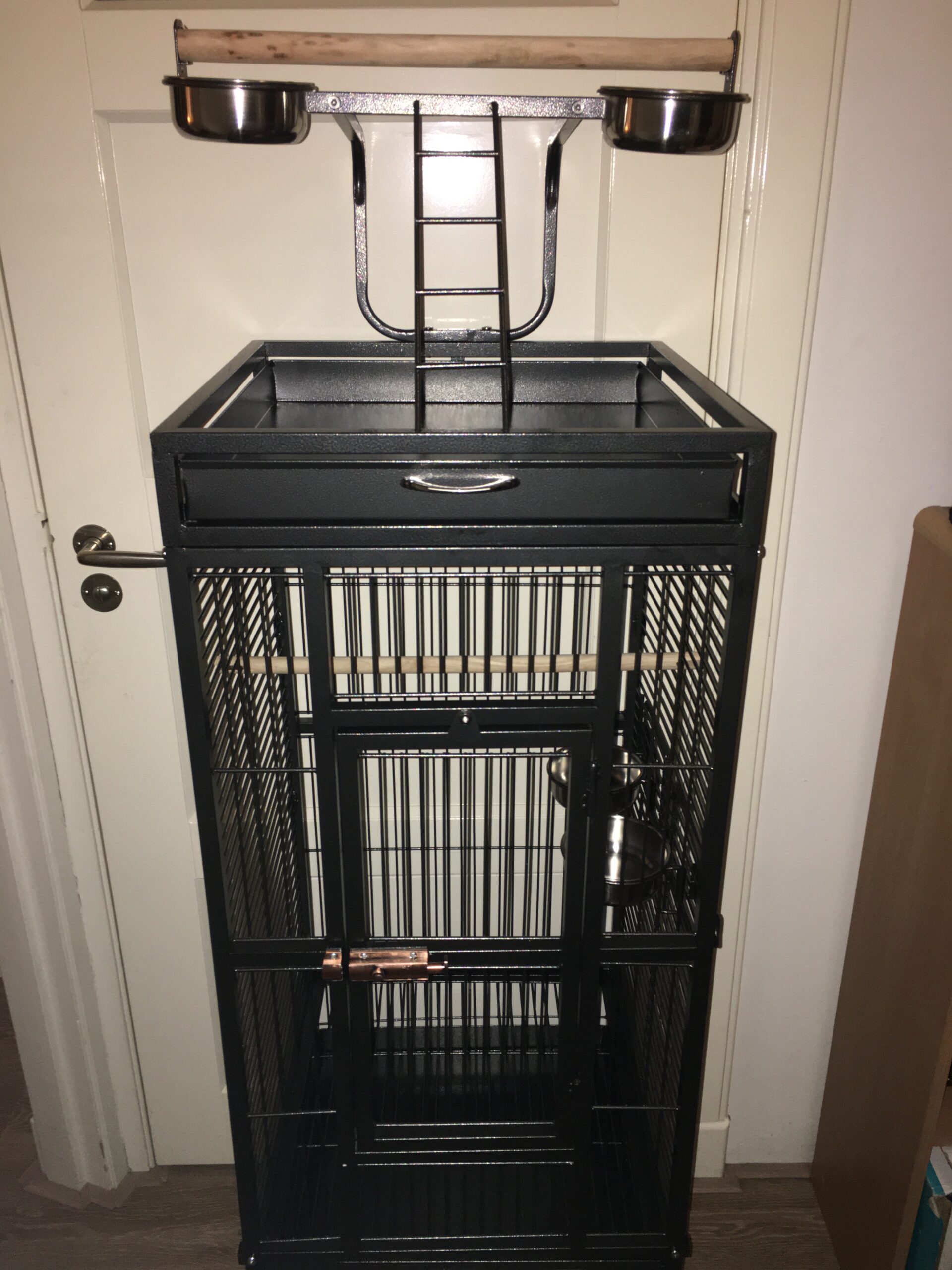parrot bird cage set-up