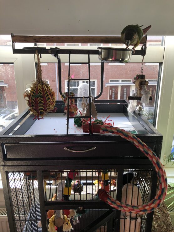 Parrot cage top playing area