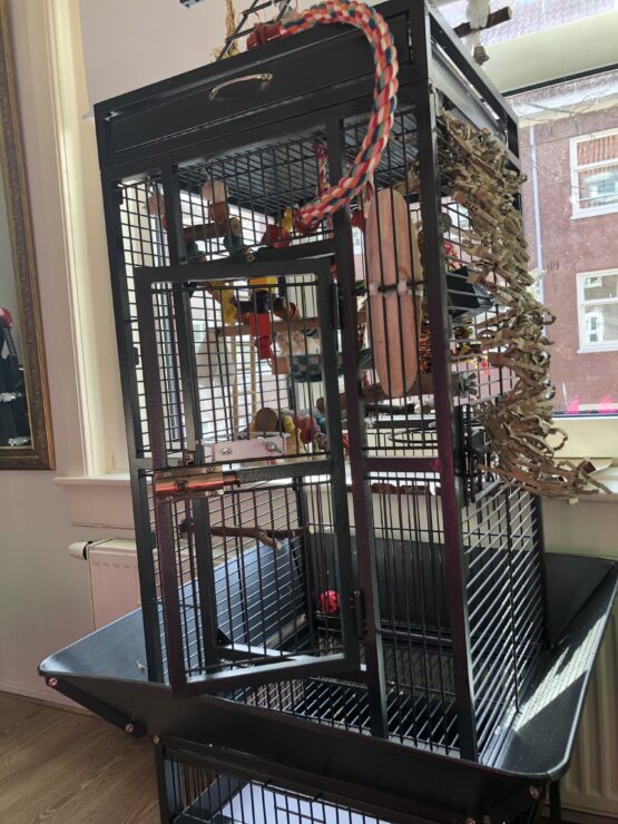 Parrot bird cage equiped with toys and perches