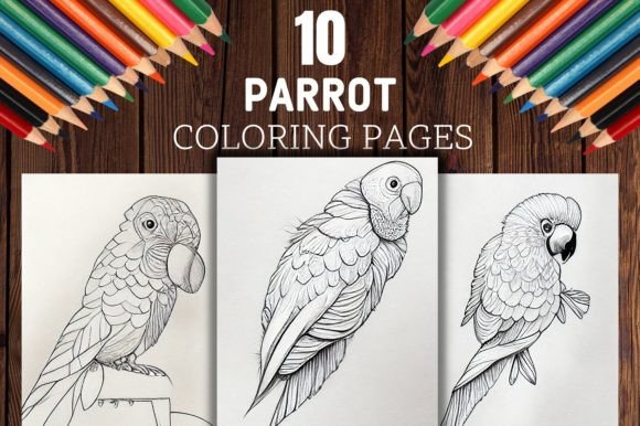 Parrot Coloring Pages Grayscale Parrots Graphic
