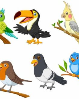Set of Six Exotic Tropical Birds Cartoon Graphic