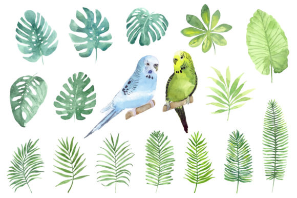Tropical Leaves and Birds Graphic