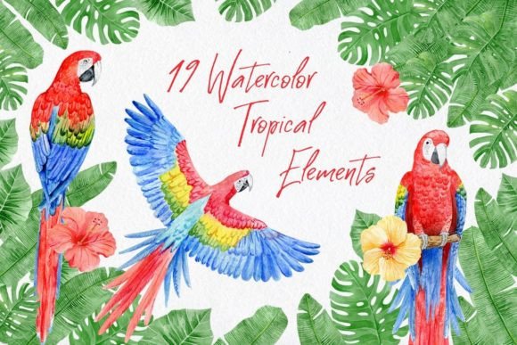 Watercolor Scarlet Macaw Parrots Graphic